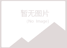 包头青山友易会计有限公司